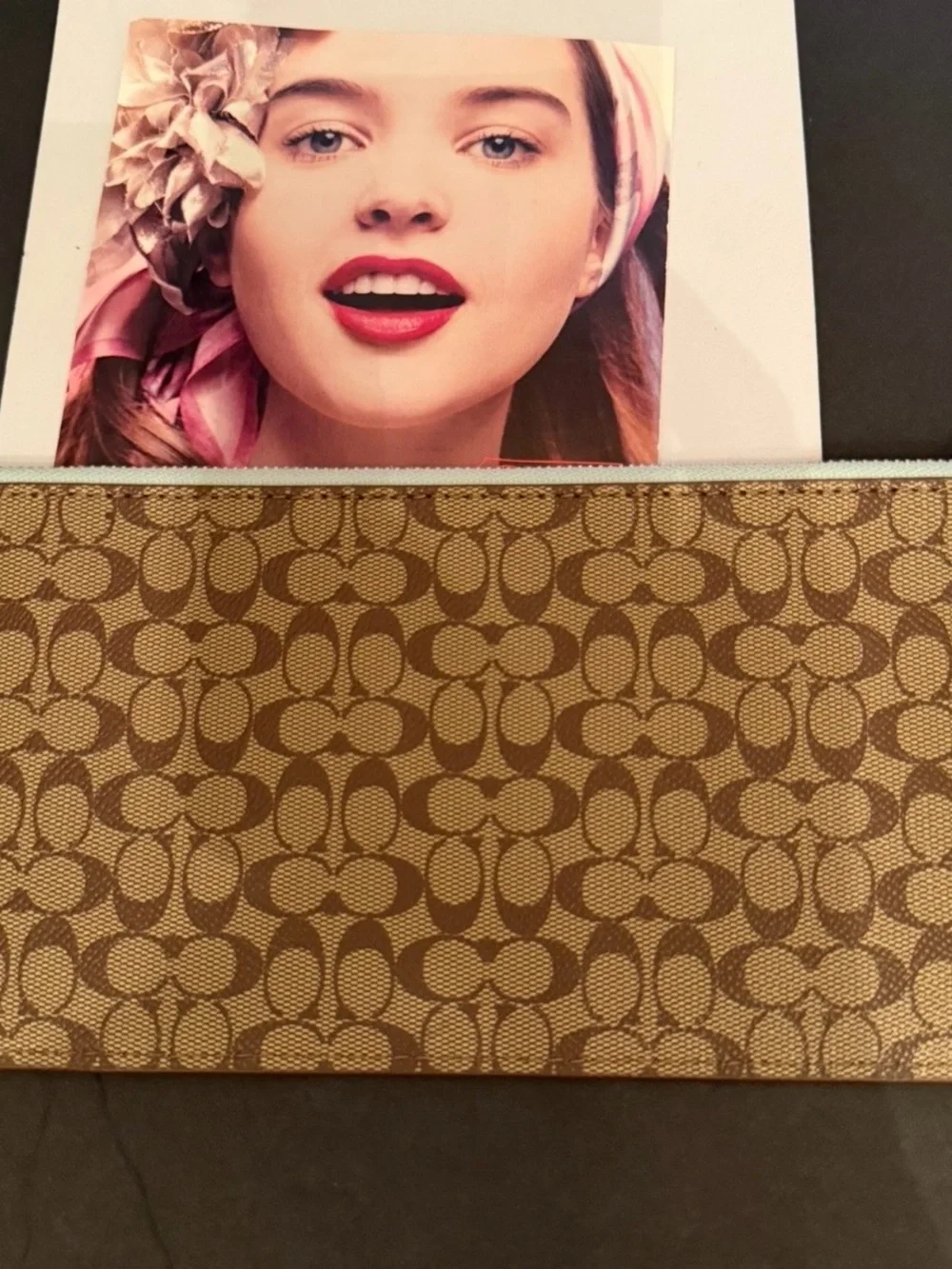 Coach Brown Signature Canvas Zip Pouch